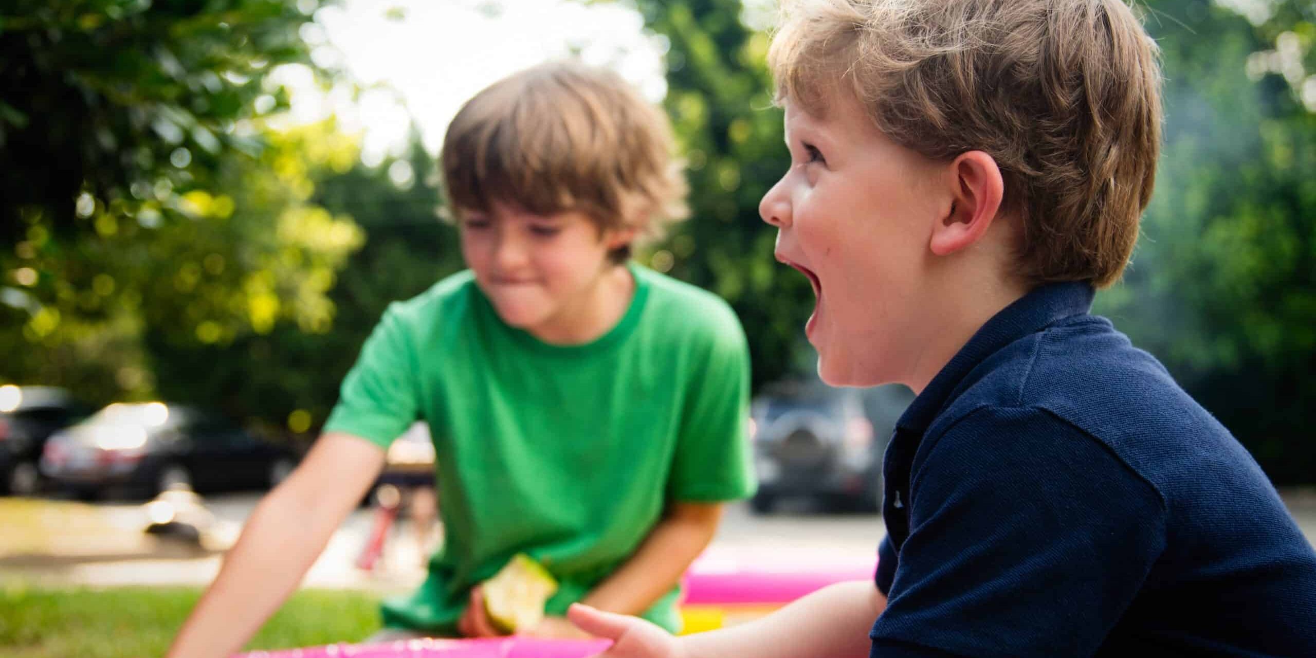 happy-boys-picnic